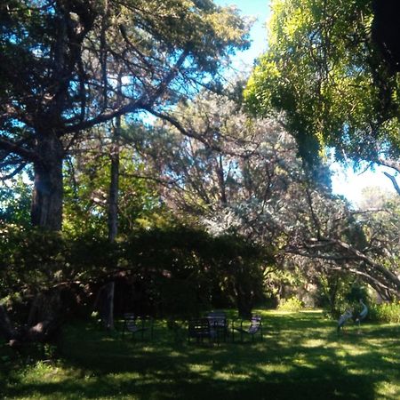 Cabana En Quinta La Aurora Mina Clavero Exteriör bild