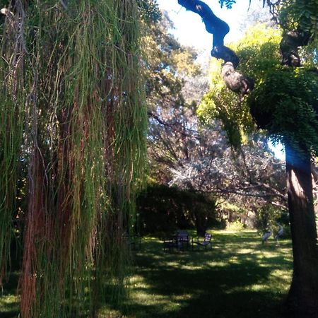 Cabana En Quinta La Aurora Mina Clavero Exteriör bild